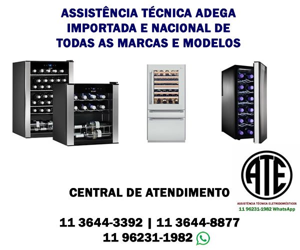 assistencia tecnica adega